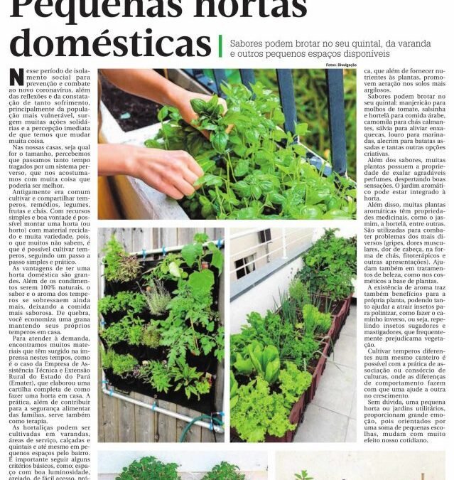 Pequenas hortas domésticas