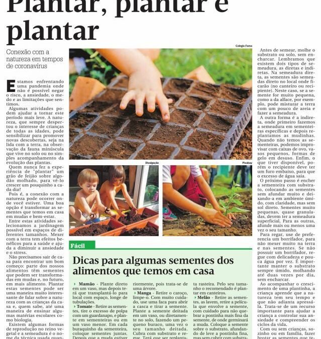Plantar, plantar e plantar