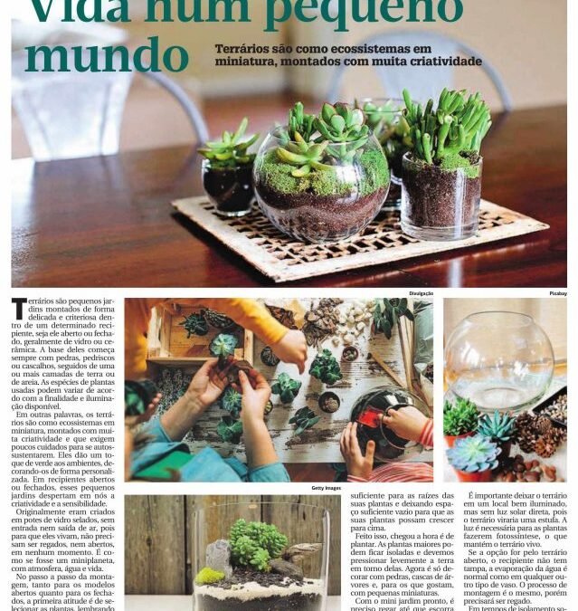 Vida num pequeno mundo