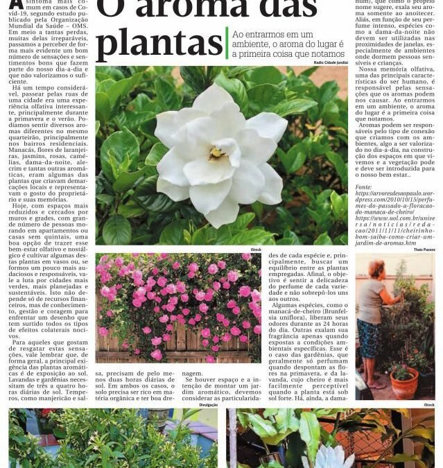 O aroma das plantas