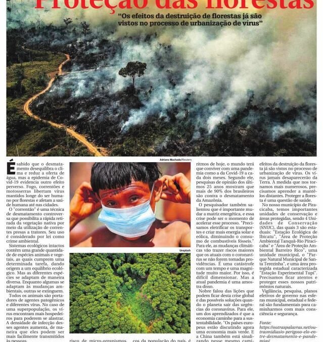 Coronavírus e proteção das florestas