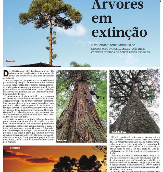 Árvores em extinção
