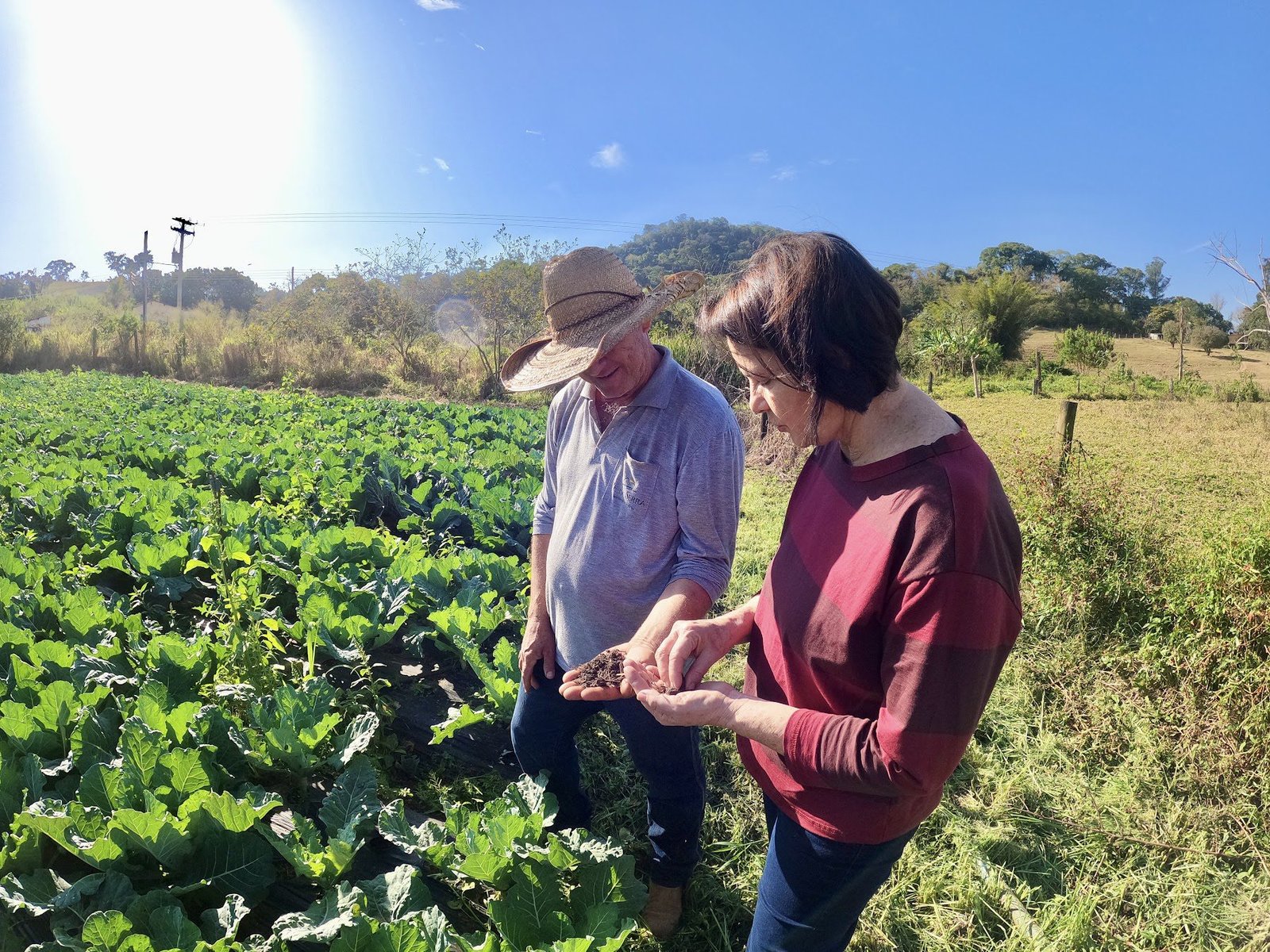 Nancy Thame no campo, ao lado de um produtor rural, sobre uma plantação de folhosas.